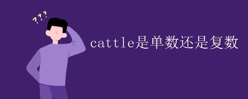 cattle是单数还是复数
