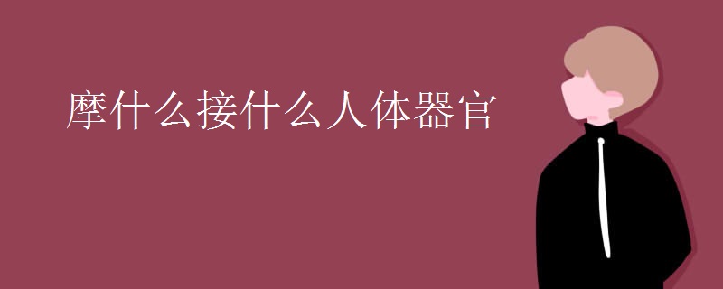 摩什么接什么人体器官