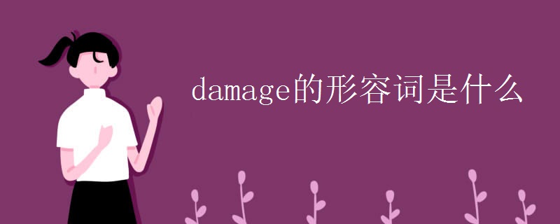 damage的形容词是什么