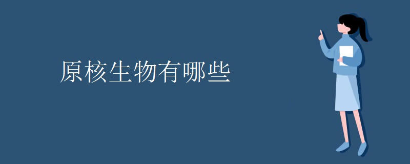 原核生物有哪些 原核生物有哪些