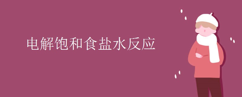 电解饱和食盐水反应 电解饱和食盐水反应