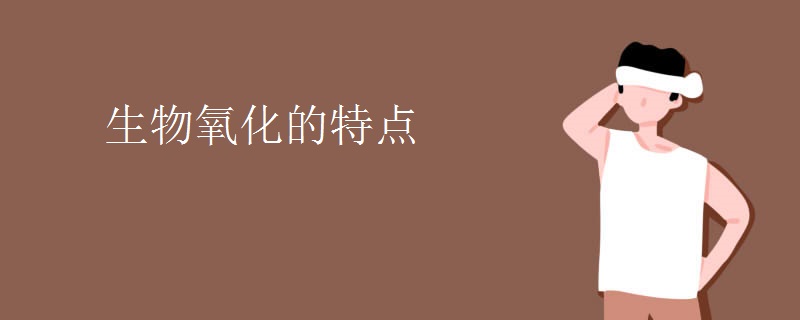 生物氧化的特点 生物氧化的特点