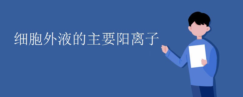 细胞外液的主要阳离子
