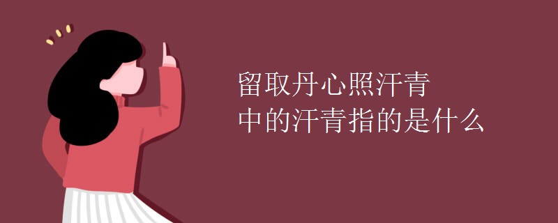 留取丹心照汗青中的汗青指的是什么
