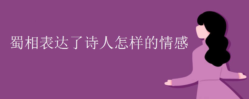 蜀相表达了诗人怎样的情感
