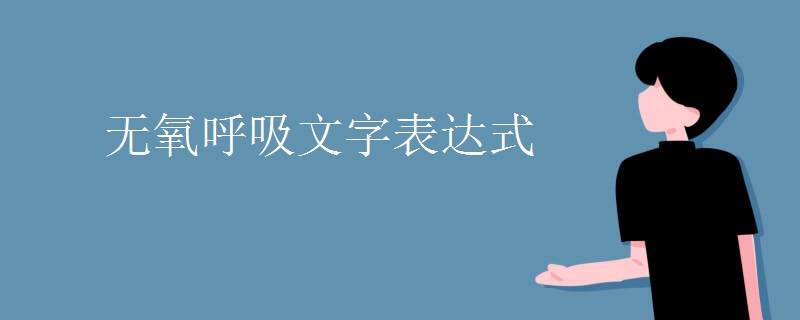 无氧呼吸文字表达式 无氧呼吸文字表达式