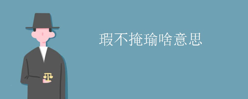 瑕不掩瑜啥意思