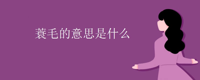 蓑毛的意思是什么 蓑毛的意思是什么