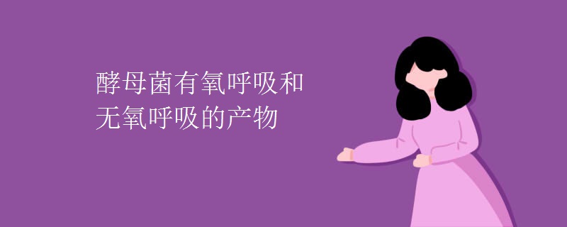 酵母菌有氧呼吸和无氧呼吸的产物