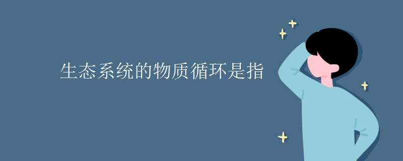 生态系统的物质循环是指