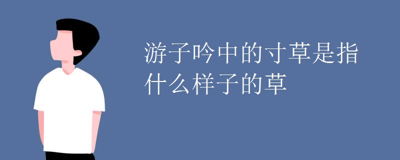 游子吟中的寸草是指什么样子的草 游子吟中的寸草是指什么样子的草