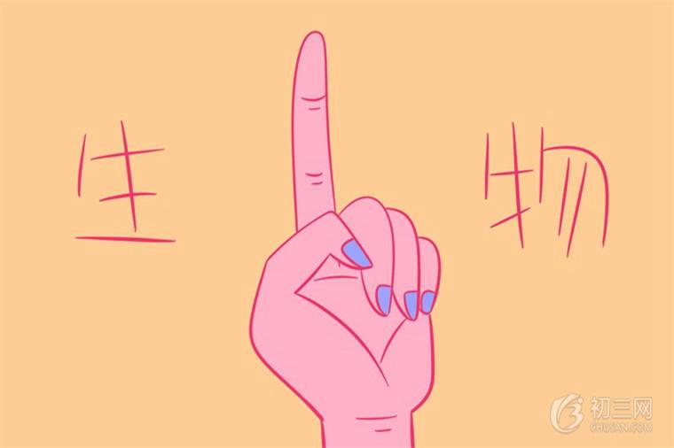 核仁的功能有哪些