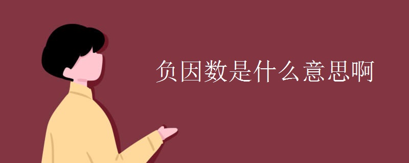 负因数是什么意思啊