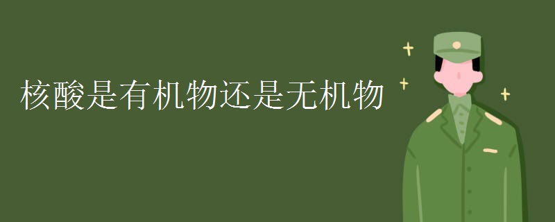 核酸是有机物还是无机物