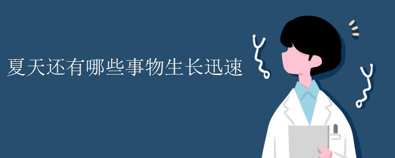 夏天还有哪些事物生长迅速