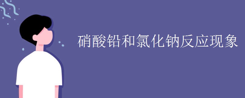 硝酸铅和氯化钠反应现象