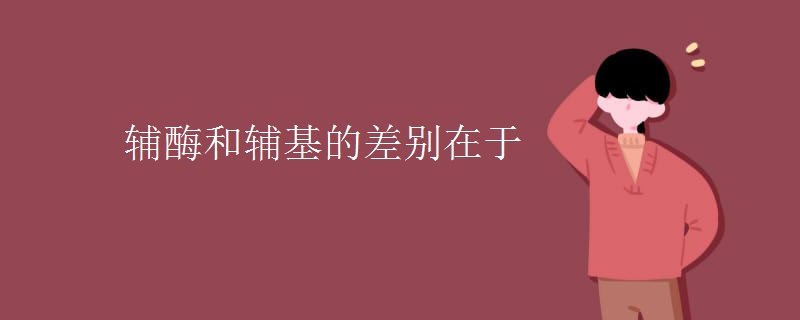 辅酶和辅基的差别在于