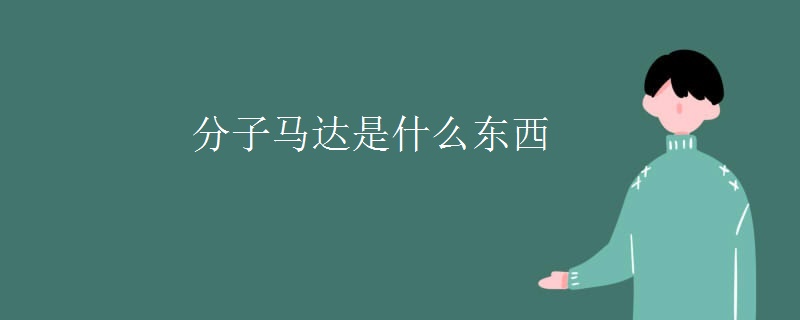 分子马达是什么东西