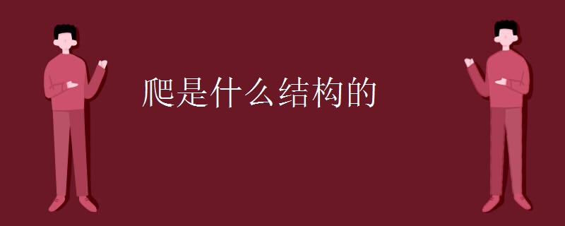 爬是什么结构的
