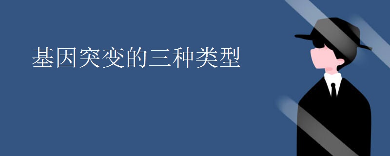 基因突变的三种类型