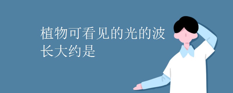 植物可看见的光的波长大约是 植物可看见的光的波长大约是