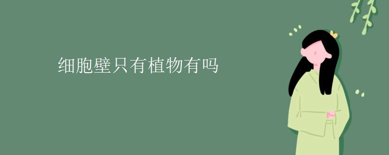 细胞壁只有植物有吗 细胞壁只有植物有吗