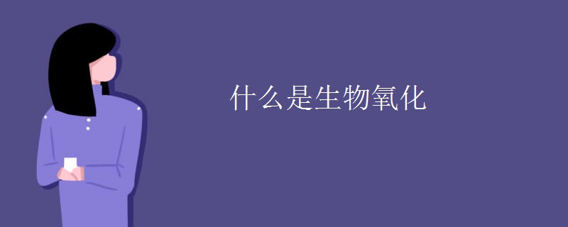 什么是生物氧化