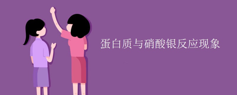 蛋白质与硝酸银反应现象