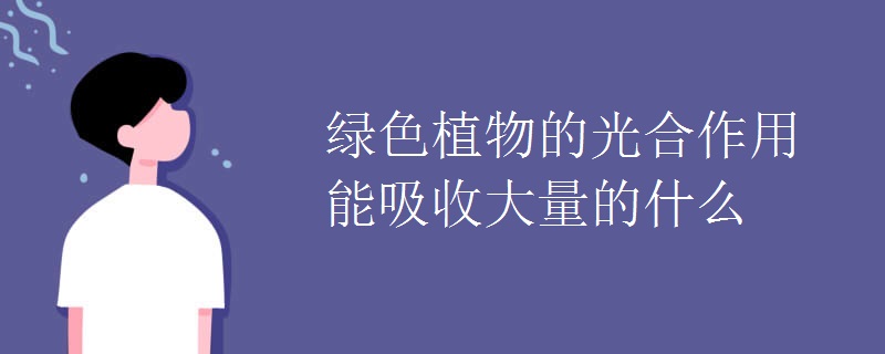 绿色植物的光合作用能吸收大量的什么