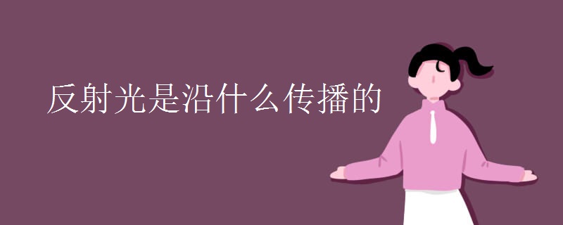 反射光是沿什么传播的