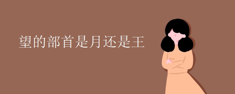 望的部首是月还是王