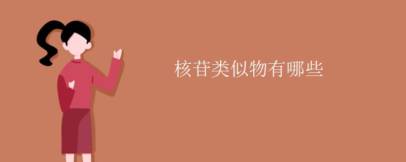 核苷类似物有哪些