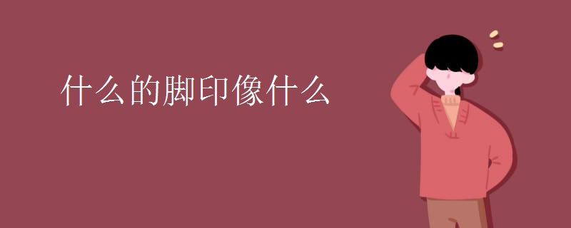 什么的脚印像什么