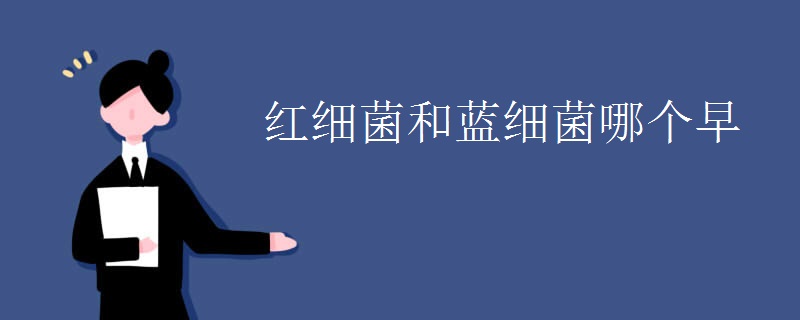 红细菌和蓝细菌哪个早