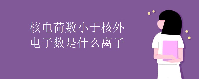 核电荷数小于核外电子数是什么离子