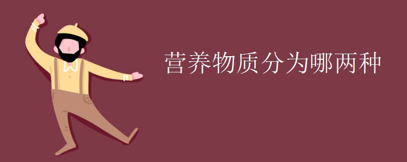 营养物质分为哪两种