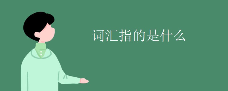 词汇指的是什么