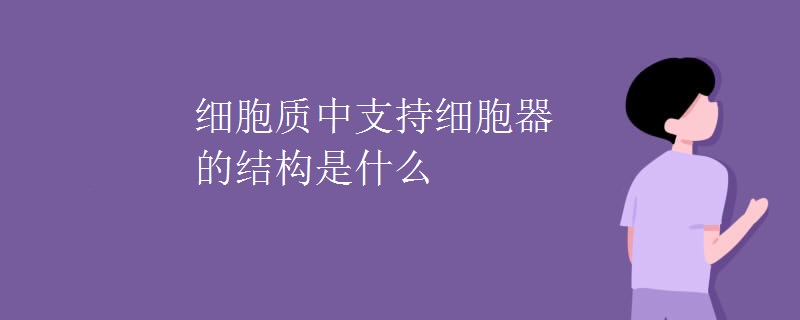 细胞质中支持细胞器的结构是什么
