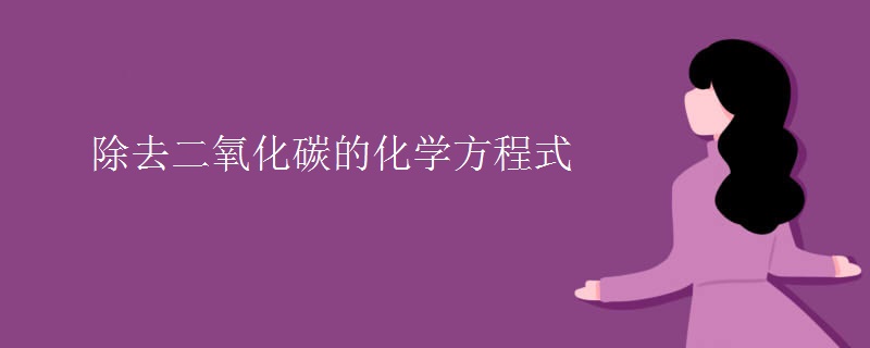 除去二氧化碳的化学方程式