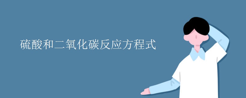 硫酸和二氧化碳反应方程式