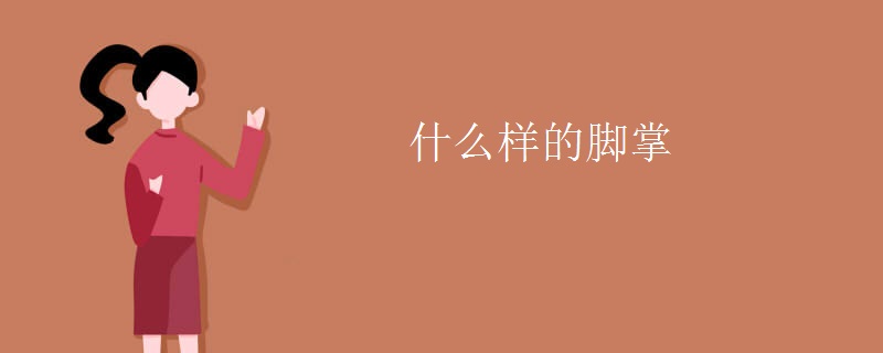 什么样的脚掌