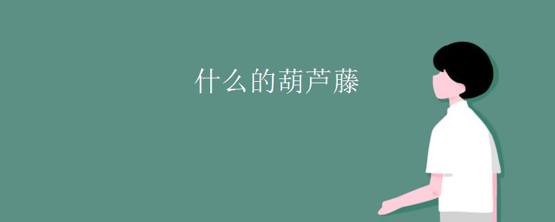 什么的葫芦藤