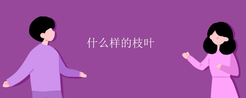 什么样的枝叶