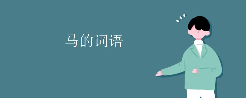 马的词语