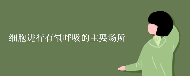 细胞进行有氧呼吸的主要场所 细胞进行有氧呼吸的主要场所