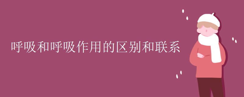 呼吸和呼吸作用的区别和联系