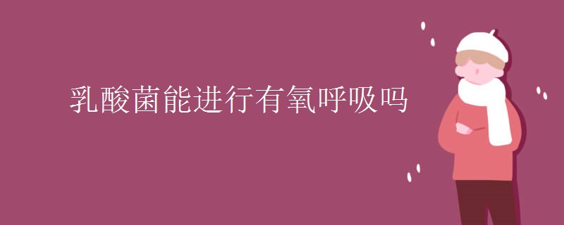 乳酸菌能进行有氧呼吸吗