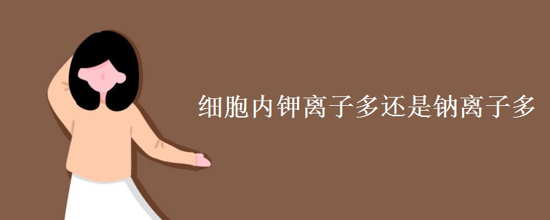 细胞内钾离子多还是钠离子多 细胞内钾离子多还是钠离子多