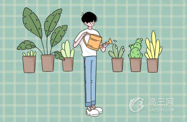 形容少年未来可期的诗句名言警句