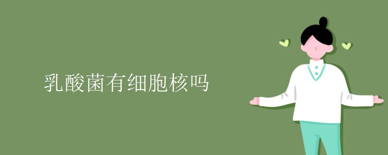 乳酸菌有细胞核吗